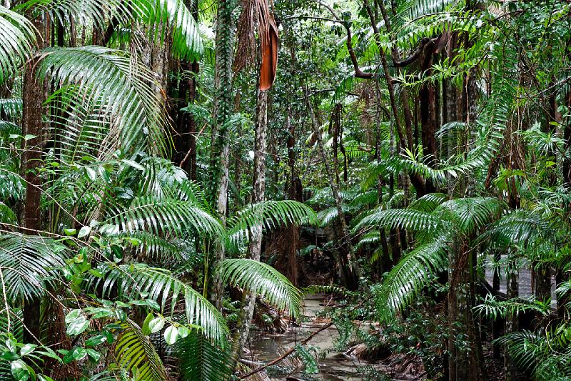 2007 05 14 Fraser Island 159_DXO.jpg